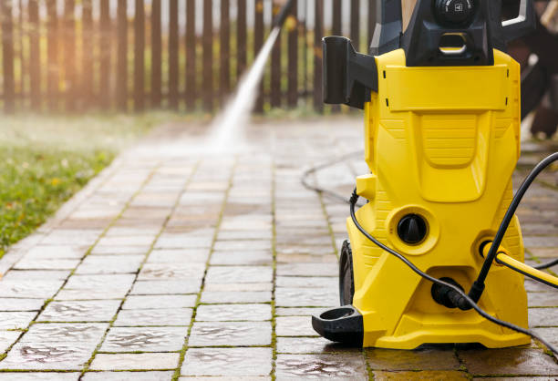 Best Animal Enclosure Cleaning  in Bridgeport, IL